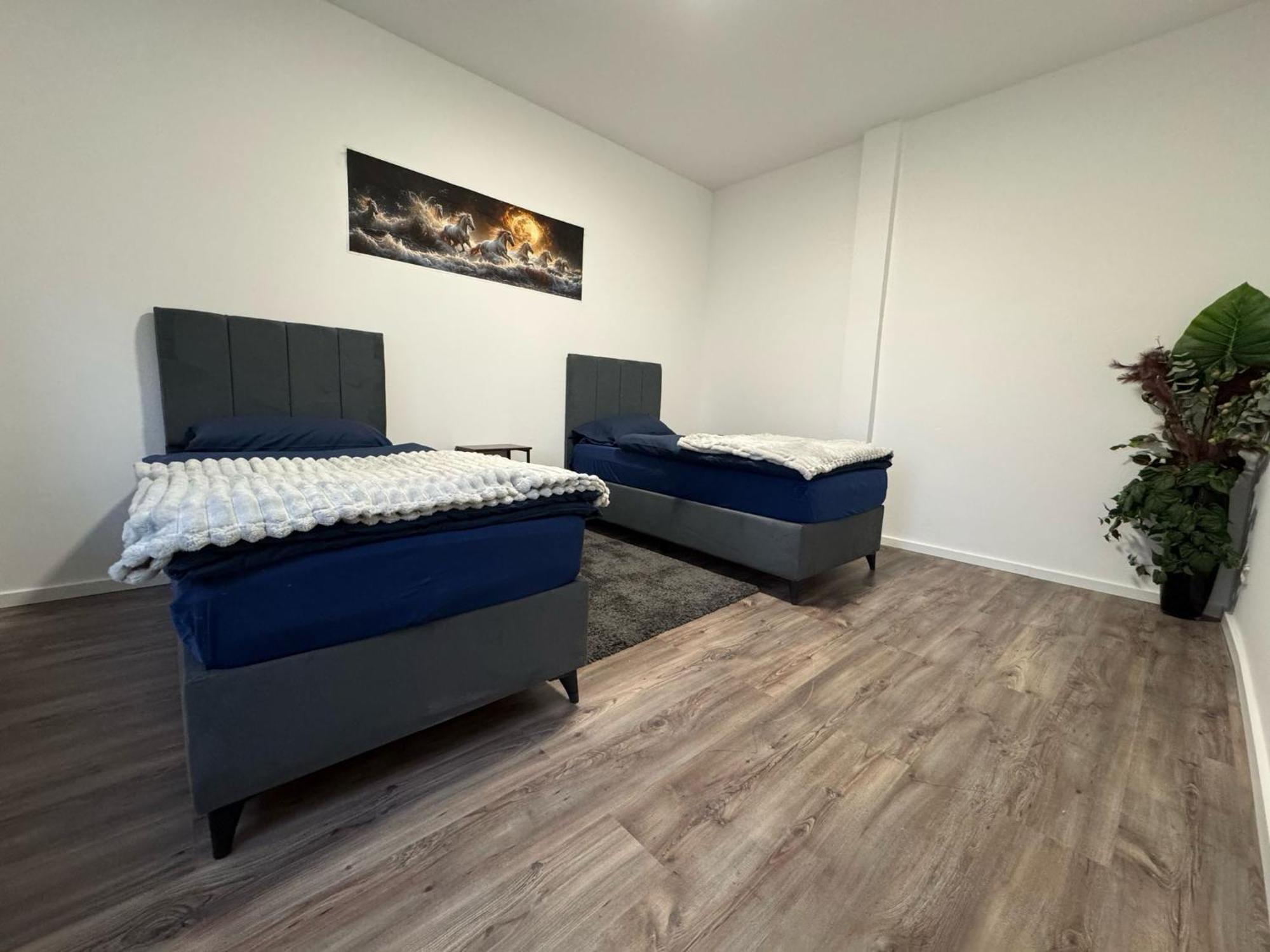 Appartamento Apartments
